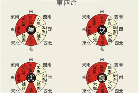 离卦 东四命|东四命西四命速查表 命卦对照表 (1930年~2043年)